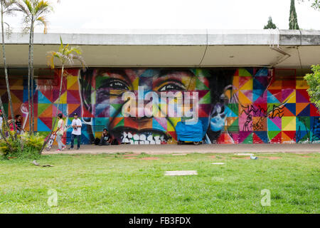 Les gens passent devant une murale peinte par l'artiste graffiti Eduardo Kobra dans Parque Ibirapuera (Parc Ibirapuera), Sao Paulo, Brésil Banque D'Images