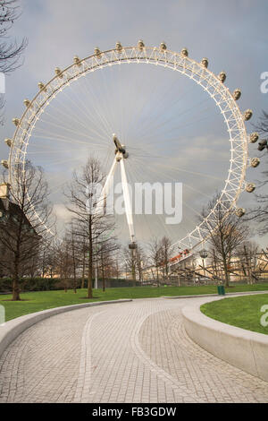 Le London Eye sur la rive sud de la Tamise, extrait de Jubilee Gardens, Londres, Angleterre, Royaume-Uni Banque D'Images