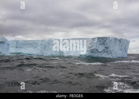 Grand plateau flottant flottant iceberg dans l'Antarctique. Banque D'Images