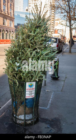 Arbre de Noël dans une corbeille de rue sur la chaussée marque la fin de la période de vacances Banque D'Images