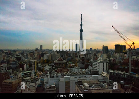 Tokyo skyline dominé par Tokyo Sky Tree à l'aube, Tokyo, Japon Banque D'Images