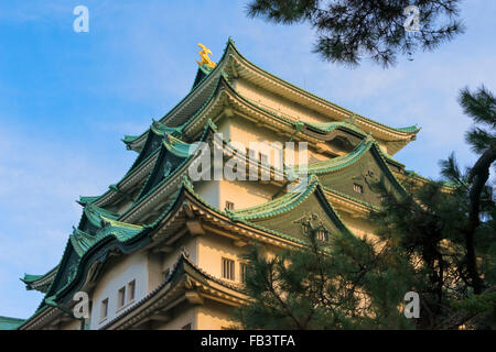 Château de Nagoya, Nagoya, Aichi Prefecture, Japan Banque D'Images