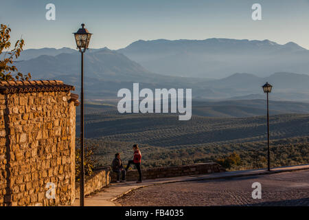 Champs d'oliviers de Ronda, Antonio Muñoz Molina.en arrière-plan Sierra Mágina.Ubeda.Jaen province. L'Andalousie. Espagne Banque D'Images