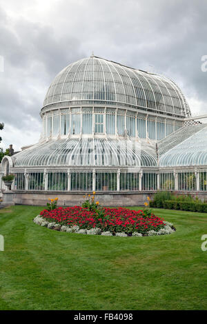 La Palm House, les jardins botaniques de Belfast, en Irlande du Nord Banque D'Images