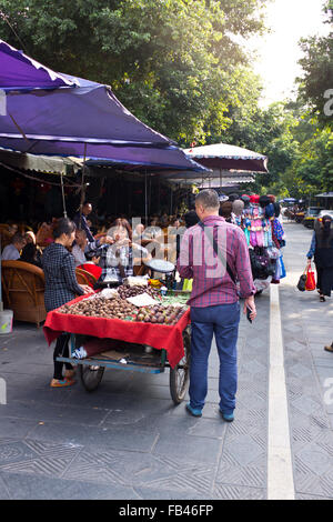 Chengdu City Center,maisons de thé,Antiquaires,ancienne vieille ville capitale de la province du Sichuan, Chine, République populaire de Chine, Chine Banque D'Images