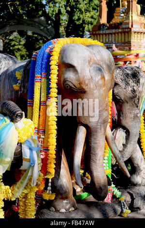 Thailande Phuket Laem Phromthep Cap Promthep au sanctuaire des éléphants Adrian Baker Banque D'Images