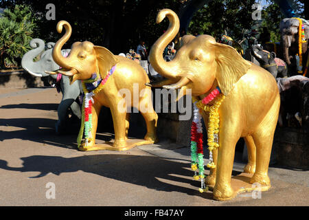 Thailande Phuket Laem Phromthep Cap Promthep au sanctuaire des éléphants Adrian Baker Banque D'Images