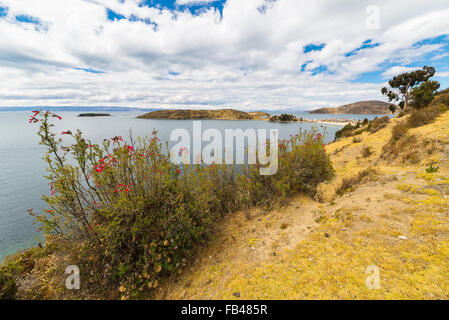 Scenic ciel dramatique en hiver à Challapampa Bay sur l'île du soleil, lac Titicaca, parmi les plus pittoresques de destin voyage Banque D'Images