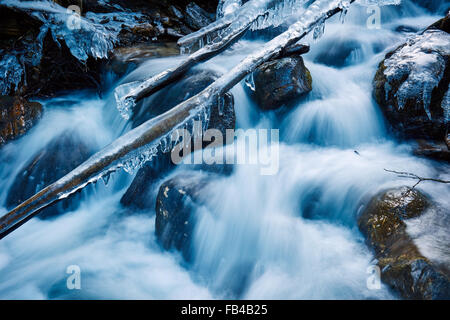 Macro d'une rivière de montagne qui coule à travers les roches glacées en hiver Banque D'Images