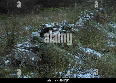 Le lichen et la neige sur un mur de pierres sèches à l'abandon, sidwood, forêt de kielder, Northumberland, England, UK. Banque D'Images