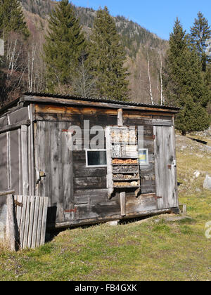 Insecte ou bug maison construite sur le côté d'un hangar dans Le Crot France Banque D'Images