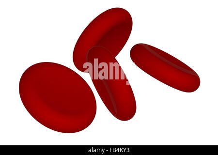 Les cellules de sang rouge isolé sur fond blanc Banque D'Images