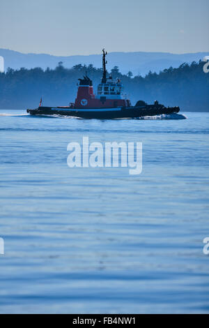 Tug boat au large de l'île de Vancouver, Colombie-Britannique, Canada Banque D'Images