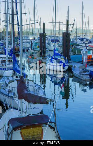 Cowichan Bay Marina ; l'île de Vancouver Banque D'Images