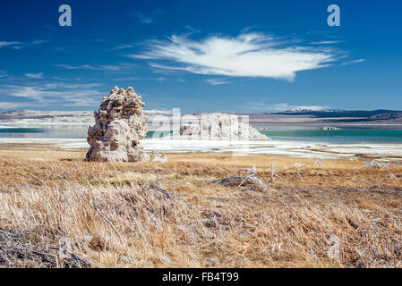 Formations de tuf sur la rive du lac Mono, en Californie Banque D'Images