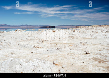 Les roches de carbonate de calcium, la ligne de rive du lac Mono, en Californie Banque D'Images