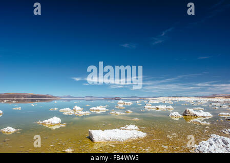 Les roches de carbonate de calcium, la ligne de rive du lac Mono, en Californie Banque D'Images