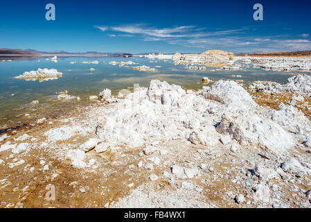 Les roches de carbonate de calcium, la ligne de rive du lac Mono, en Californie Banque D'Images