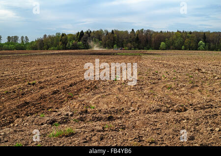 Le tracteur travaille dans un champ agricole. Banque D'Images