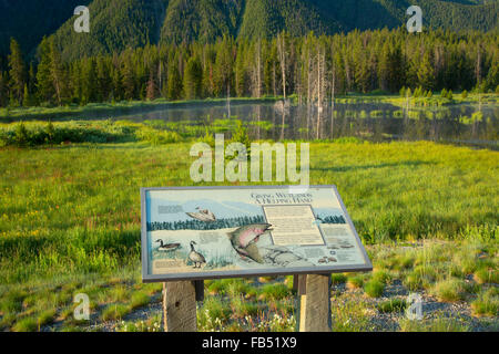 Étang Beaver Creek avec conseil d'interprétation, Madison River Canyon zone du séisme, Gallatin National Forest, Montana Banque D'Images