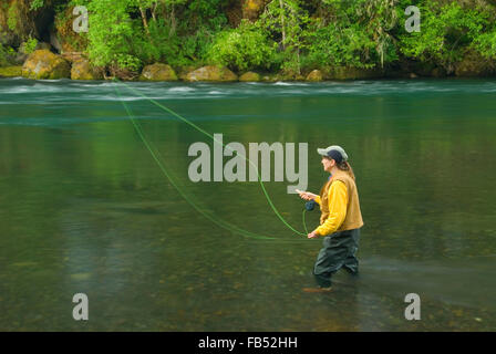 La pêche à la mouche sur le Nord Santiam River, North Santiam State Park, New York Banque D'Images