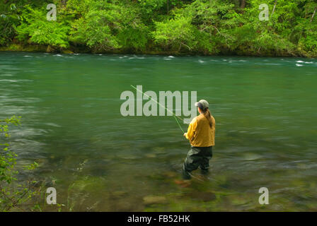 La pêche à la mouche sur le Nord de la rivière Santiam, Minto County Park, Oregon Banque D'Images