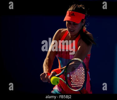 Sydney, Australie. 10 janvier, 2016. Ana Ivanovic (SRB) en action contre Karolina Pliskova (CZE) lors de leur match de la femme le jour 1 au tournoi international à l'Apia Apia Les Sydney, Australie. Pliskova a battu Ivanovic 6:4, 6:2 Crédit : Action Plus Sport/Alamy Live News Banque D'Images