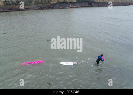 Porthleven, Cornwall, UK. 10 janvier 2016. Selon l'environmental group Surfers Against Sewage ils ont été en contact avec Reckitt Benckiser, et leur PR company ont confirmé que 18 720 bouteilles de disparaître est portée disparue du container ship DS Blue Ocean en mai 2015. RB est rapporté comme disant qu'ils se sont engagés à fournir un appui à l'opération de nettoyage. On voit ici un internaute la collecte de bouteilles sortir du port dans le cadre de l'opération de nettoyage. Crédit : Simon Yates/Alamy Live News Banque D'Images