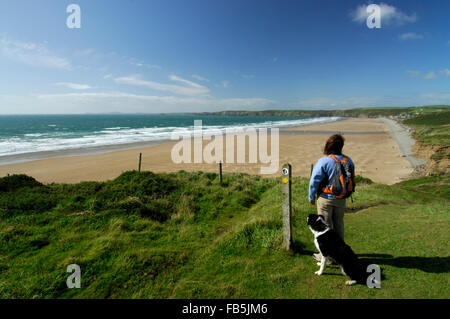 Walker avec les chiens à la femelle à Newgale Beach sur le parc national de Pembrokeshire Coast, le Pays de Galles UK Banque D'Images