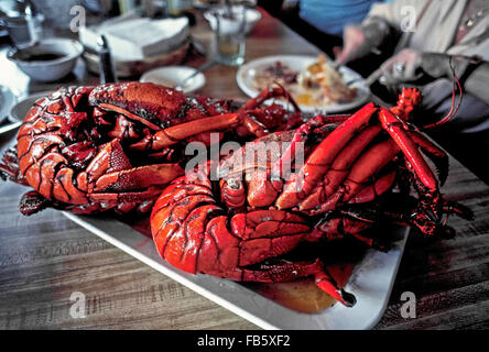 Le village côtier de Puerto Nuevo près de Rosarito Beach au Mexique, la Basse-californie est connu pour ses restaurants qui servent de la famille de grandes langoustes locales frais de l'océan Pacifique. À la différence de homard du Maine, de l'océan Atlantique, les langoustes n'ont pas de griffes et la majeure partie de la viande est dans la queue. Banque D'Images