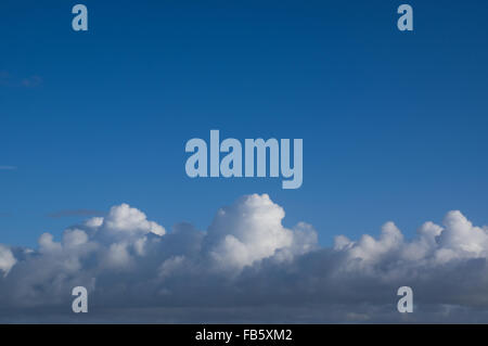 Les cumulus contre un ciel bleu. Banque D'Images