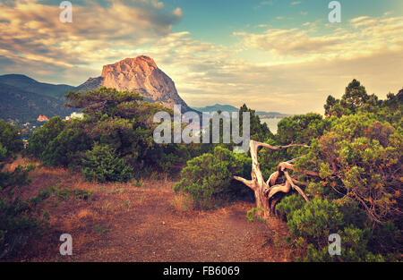 Beau coucher de soleil d'été dans la forêt avec des montagnes et ciel nuageux en Crimée Banque D'Images