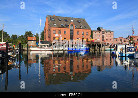 Bateaux dans le port de l'île de Fehmarn, Orth, côte de la mer Baltique, Schleswig-Holstein, Allemagne Banque D'Images