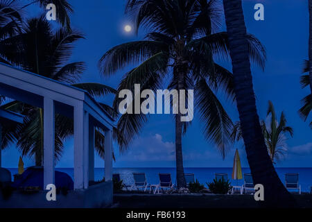 Luttes la pleine lune à travers les nuages sur la mer des Caraïbes. Un palmier sur la plage. Sainte Croix, Îles Vierges des États-Unis. Cottages by the Sea Resort. Banque D'Images