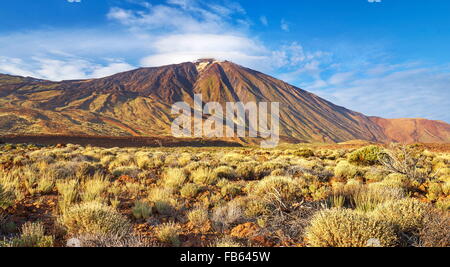 Le Mont Teide, Tenerife, Canary Islands Banque D'Images