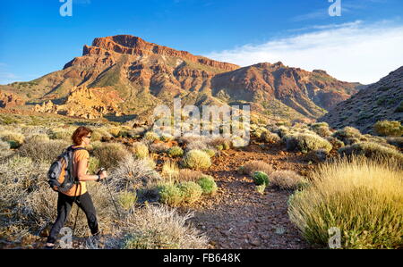 Marche nordique dans le Parc National du Teide, Tenerife, Canaries, Espagne Banque D'Images