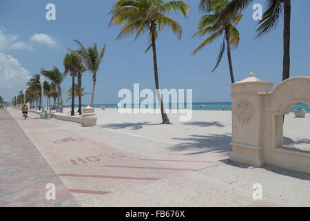 Une personne sur sa bicyclette à pédales dans la voie cyclable bordée d'arbres palm sur le Hollywood Beach en Floride. Banque D'Images