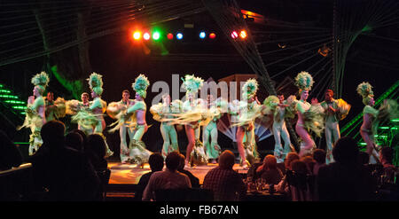 Club Tropicana, La Havane, Cuba, le 15 novembre 2012. Danseurs de divertir la foule par une chaude nuit. Banque D'Images