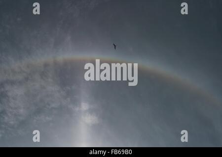 Rio de Janeiro, Brésil, le 10 janvier 2016. Halo solaire à Rio de Janeiro. Crédit : Maria Adelaide Silva/Alamy Live News Banque D'Images