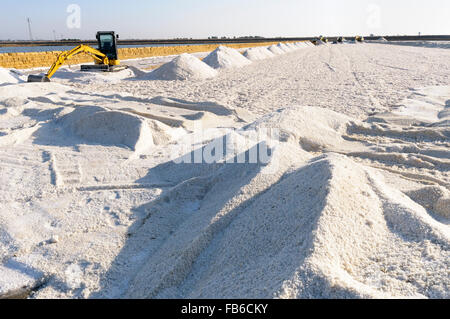 Talie, Sicile, Trapani. Une pelle sur chenilles Komatsu la récolte du sel de mer à partir d'un bassin d'évaporation. Banque D'Images