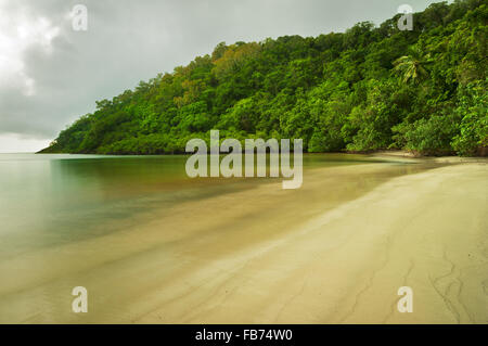 La forêt tropicale rencontre la mer à Cape Tribulation dans le parc national de Daintree. Banque D'Images