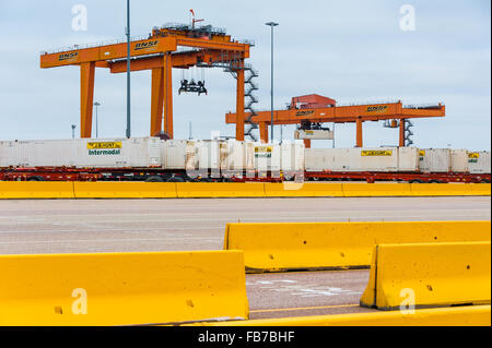 Installation ferroviaire intermodal BNSF yard à Memphis, Tennessee avec les grues de chargement. USA. Banque D'Images