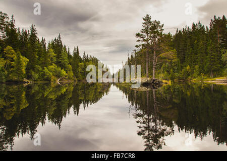 Les arbres croissant par lac calme contre ciel nuageux Banque D'Images