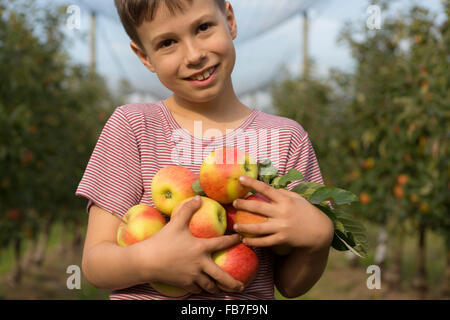 Portrait of smiling boy holding apples de l'orchard Banque D'Images