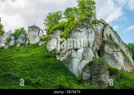 Ruines du château de Ojcow Ojcow en Pologne. Le Zamek w Ojcowie situé près de Cracovie, Pologne. Banque D'Images