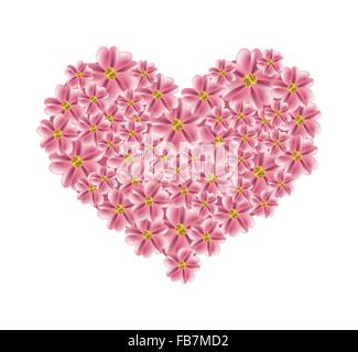 Concept d'amour, de l'illustration de Rose Ancienne Fleurs de millefeuille Achillea millefolium fleurs formant ou en forme de coeur Banque D'Images