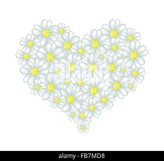 Concept d'amour, de l'illustration des fleurs Achillée blanche ou l'Achillea millefolium fleurs formant en forme de coeur Banque D'Images