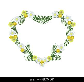 Concept d'amour, de l'illustration d'achillée Jaune et Blanc de fleurs ou de l'Achillea millefolium fleurs formant en forme de coeur Banque D'Images