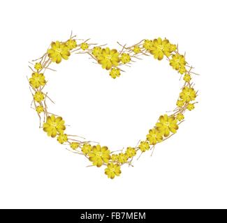 Concept d'amour, fleurs d'achillée jaune ou l'Achillea millefolium fleurs formant dans une forme de coeur isolé sur fond blanc. Banque D'Images