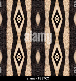 Résumé fond de zebra stripes. Très belle orientale motif transparente faite par la Mère Nature. Banque D'Images